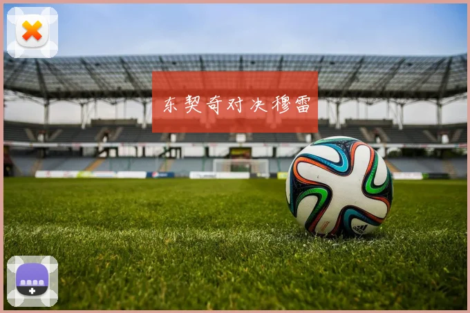 东契奇对决穆雷