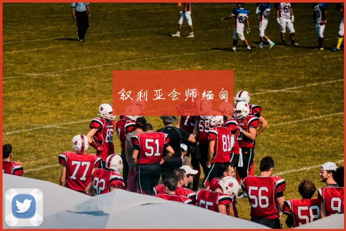 叙利亚会师缅甸